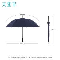 天堂伞 11013E风华 直骨晴雨伞 65cm*16k（单位：把）颜色随机