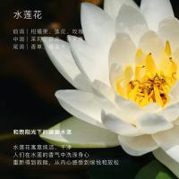 东方宝石（Tesori D’oriente） 水莲花香 保湿香氛身体乳 350ml(单位：瓶)