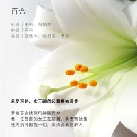 东方宝石（Tesori D’oriente） 埃及艳后风情 保湿香氛身体乳 350ml(单位：瓶)