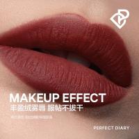 完美日记（Perfect Diary） 巧克力红棕-V05 锈棕法兰绒 至臻柔色丝绒唇釉 2.5g （单位：支)