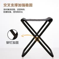 尚烤佳 SKJ-393 折叠椅 可折叠 黑色（单位：件）