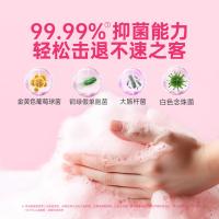 滴露（Dettol）泡沫抑菌洗手液（西柚香型250ml*2+青柠香型250ml*2）/组（单位：组）新旧包装随机发货