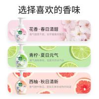 滴露（Dettol）泡沫抑菌洗手液（西柚香型250ml*2+青柠香型250ml*2）/组（单位：组）新旧包装随机发货