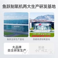 鱼跃（Yuwell） YU800 高原制氧机 1L （单位：台）