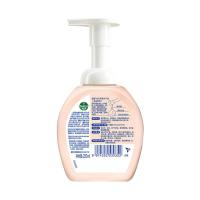 滴露（Dettol） 西柚香泡沫洗手液 250ml（单位：瓶）新老包装随机发货