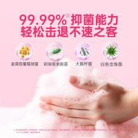 滴露（Dettol） 西柚香型草莓熊限定版 泡沫抑菌洗手液 250ml 12瓶/箱 (单位:瓶)