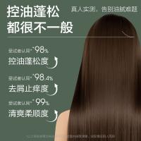 柏缇（POTE） 控油蓬松洗发水 洗发水 475ml HY47519（单位：瓶）