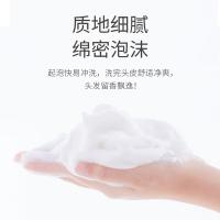 阿道夫（ADOLPH） 控油蓬松 祛屑舒爽洗发水补充装 248ml (单位:瓶)