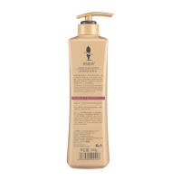 阿道夫（ADOLPH） 防脱固发洗发水 500ml（单位：瓶）新老包装随机发货