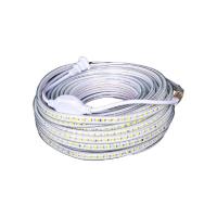 贝工 6W/m AC220V LED高亮灯带 0.5cm*1cm*20m  IP65 白光 (单位:根)