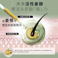 施华蔻（Schwarzkopf） 生姜精华修护头皮净澈 洗发水 400ml（单位：瓶）
