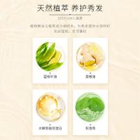 滋源（seeyoung） 生姜蓬松强韧 洗发水 400ml 香槟金（单位：瓶）