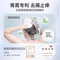 征服者（CONOUEROR） A1203 控油蓬松洗发乳 洗发水 335ml 绿色（单位：瓶）