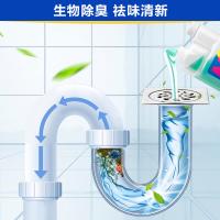 绿伞 管道长效除臭剂 清洁剂 500g 混色（单位：瓶）