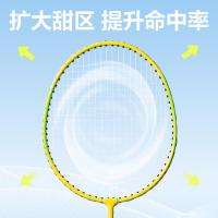 安格耐特（Agnite） FH666 铁分体羽毛球拍 2支/副(单位：副) 混色