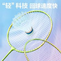 安格耐特（Agnite） FH666 铁分体羽毛球拍 2支/副(单位：副) 混色
