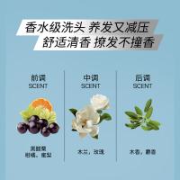 滋源（seeyoung）水光滢润洗头水 透明质酸钠水光嘭弹系列 450g （单位：瓶）