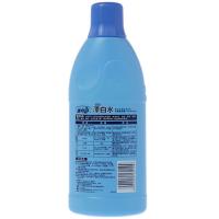 蓝月亮 600g 漂白水 600g (单位：瓶)
