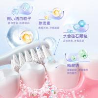 牙博士 除渍增白 牙膏 220g(单位：支)