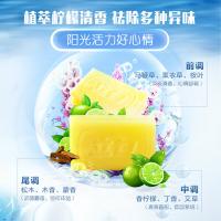 立白（Liby） 植萃柠檬清香 洗衣皂 260g/块 2块/组 （单位：组）