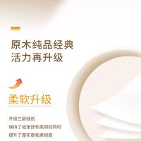 清风（APP） B66ACM13 原木纯品手帕纸 8张/包 10包/提（单位：提）