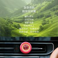 绿之源（GREEN SOURCE） 活力花果香-去热爱香薰  汽车出风口夹香薰 3.6ml （单位：个）