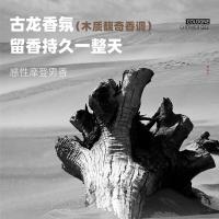 和风雨（Hefengyu） HFY00965 沐浴露 500ml*1 黑色（单位：瓶）