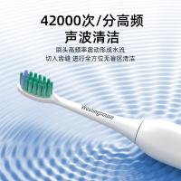 西屋（Westinghouse） 长续航声波式电动牙刷多功能软毛 WT-0503 230*145*50mm (单位:个)