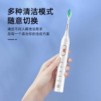 西屋（Westinghouse） 长续航声波式电动牙刷多功能软毛 WT-0503 230*145*50mm (单位:个)