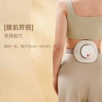 倍轻松 TP-301 A2标准版智能艾灸盒 8W(单位：个) 月白色