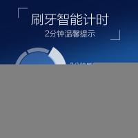 欧乐B（OralB） 活力亮洁 电动牙刷 D100 (牙刷手柄*1，刷头*1，充电器*1，说明书*1) （单位：套） 绅士黑