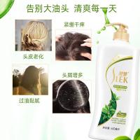 舒蕾 绿茶控油去屑洗发水 600ml （单位：瓶）
