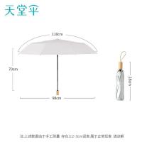 天堂 31167E 晴雨伞 55CM*6K (单位:把)