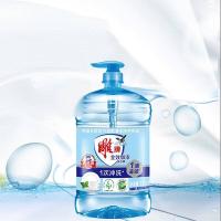 雕牌 甜橙果香 洗洁精 1.02kg/瓶  (单位：桶 )