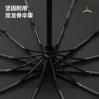 美度（MAYDU） M3326 12骨全自动雨伞三折伞 55cm*8K/106cm（单位：把）尼罗绿