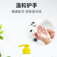 立白（Liby） 润之素抑菌洗手液（柠檬）500g（单位:瓶）