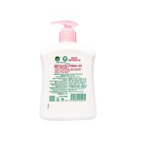 滴露（Dettol） 甄选系列 滋润倍护 抑菌洗手液 450g (单位:瓶)  新旧包装随机发货