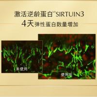 雅诗兰黛 白金 面部精华 200ml （单位:瓶）