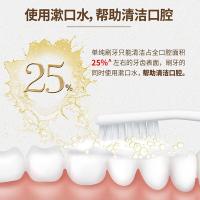 片仔癀 牙口清净透清新漱口水 500ml（单位:瓶）