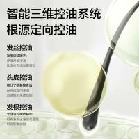 柏缇（POTE） 北非雪松 洗发水 新老包装随机发货 505ml （单位:瓶）