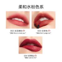完美日记（Perfect Diary）薄透雾感 008 名片唇釉 4ml(单位：支)