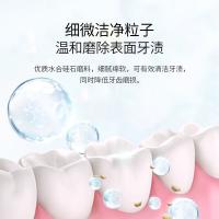 纳爱斯  新氧绿洲香型  小苏打臻护牙膏  120g（单位：支）