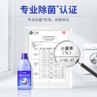 蓝月亮 去异味免浸泡 洗衣清洁剂 600g 紫色（单位：瓶）