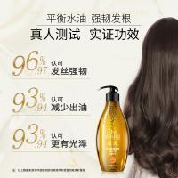 滋源（seeyoung） 生姜防脱育发 洗发水 535ml/瓶 黄色（单位：瓶）