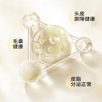 滋源（seeyoung） 生姜防脱育发 洗发水 535ml/瓶 黄色（单位：瓶）