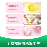 滴露（Dettol） 健康抑菌 滋润倍护洗手液 500g 白色（单位：瓶）