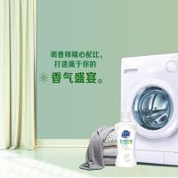 超能 白衣去渍去黄 漂净液  600g/瓶（单位：瓶）