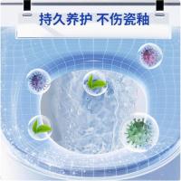 绿之源（GREEN SOURCE） Z-7071 卫+马桶清洁剂 500ml （单位：瓶）