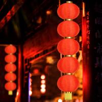 墨斗鱼 0468 灯笼 8寸5连串 （单位：串） 大红