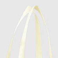 乐博锐胜（LEBORUISHENG） LB-WF002 手提袋 40*30*10cm (单位: 个)墨绿色 可支持logo定制  起订量3000个